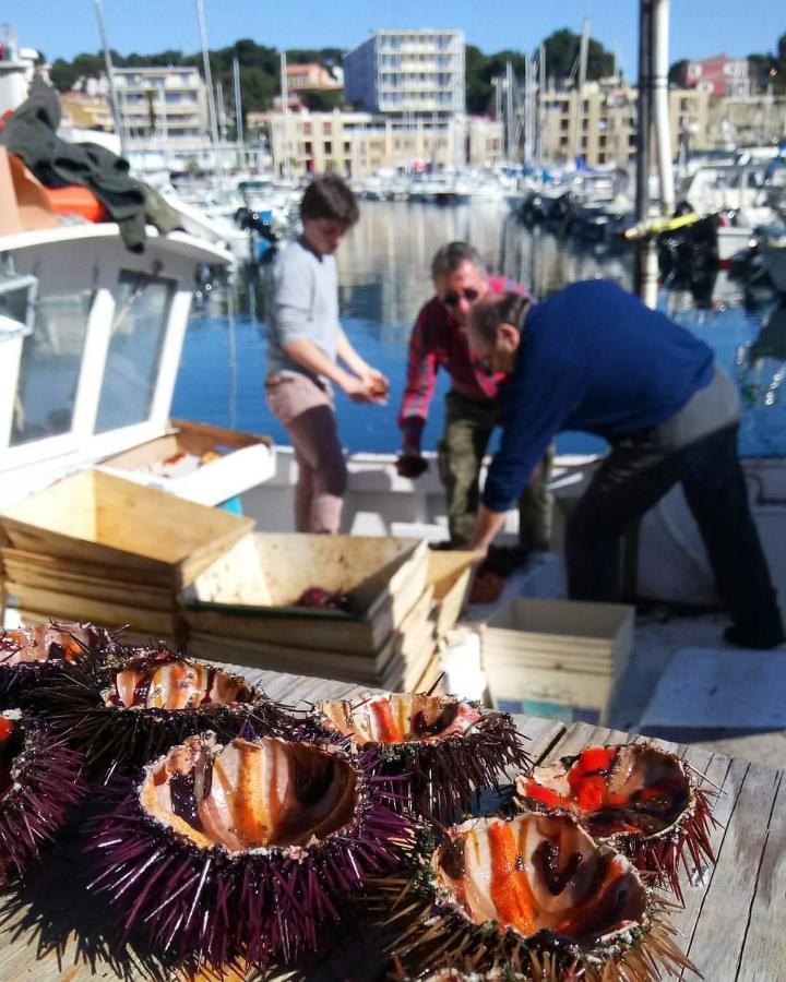 200M De La Plage ,3Mn Du Port A 50M Du Centre Ville 卡里勒鲁埃 外观 照片